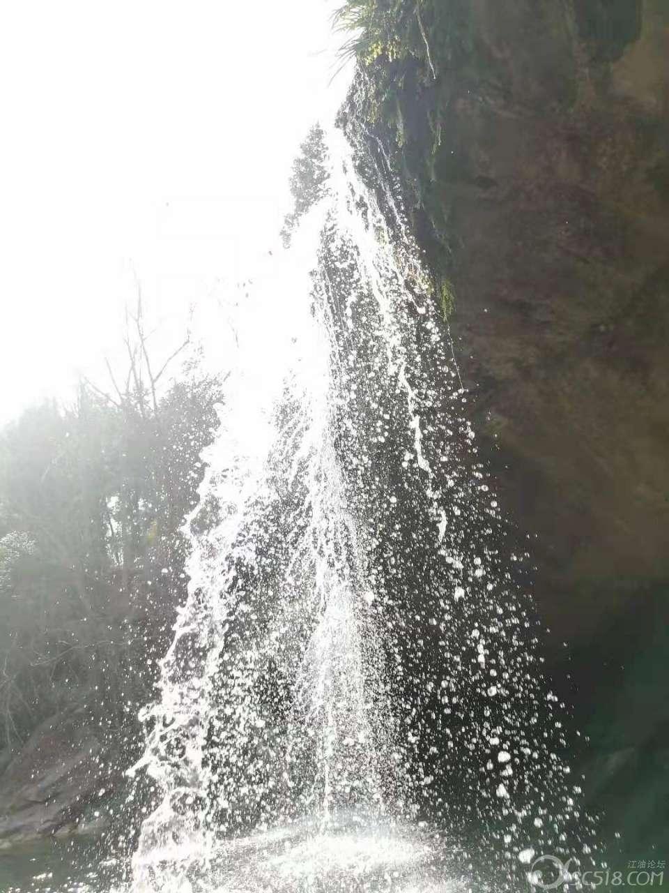 救援农场少年